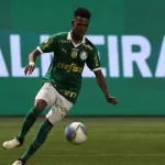 estevao_palmeiras