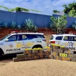 policia rodoviaria militar e pf