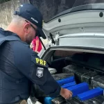 PRF e Polícia Civil apreendem 400 kg de maconha em Marília