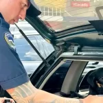 Cachorro é resgatado de carro trancado sob calor intenso em shopping de Botucatu; tutor é preso