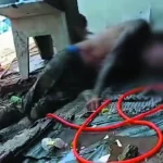 Homem é preso por tentativa de feminicídio em Marília