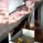 Abatedouro em Tupã é notificado por irregularidades após vistoria da Vigilância Sanitária