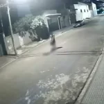 Homem é preso suspeito de matar colega e arrastar corpo por 40 metros em Macatuba