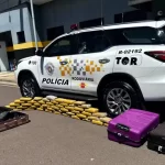 Mulher é presa em Bauru com mais de 50 kg de maconha escondidos em ônibus