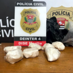 Polícia investiga mulher após apreensão de cocaína escondida em terreno