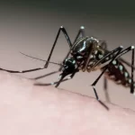 Marília registra 15 mortes por dengue em 2025 após novas confirmações