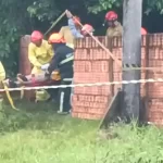 Rapaz morre após árvore cair em casa de madeira durante temporal em Iepê