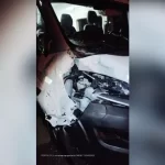 Van com pacientes atropela cavalo na SP-294 em Herculândia