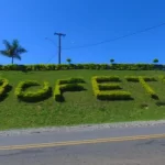 Homem morre atropelado na Rodovia SP-141, em Bofete