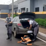 Casal é preso com mais de 115 kg de maconha após perseguição na Rodovia Marechal Rondon