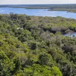 Corpo de piloto desaparecido na Amazônia é encontrado