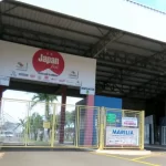 Japan Fest divulga candidatas ao Miss Nikkey 2025 em Marília