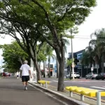 Marília se destaca entre as cidades mais verdes do Brasil, aponta IBGE