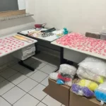 Dupla é presa com drogas em casa usada exclusivamente para tráfico em Marília