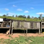 Homem é preso por maus-tratos a porcos, cães e coelhos em Bastos