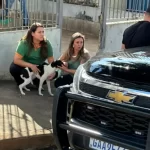 Prefeitura e Polícia Civil resgatam cachorro vítima de maus-tratos em Marília