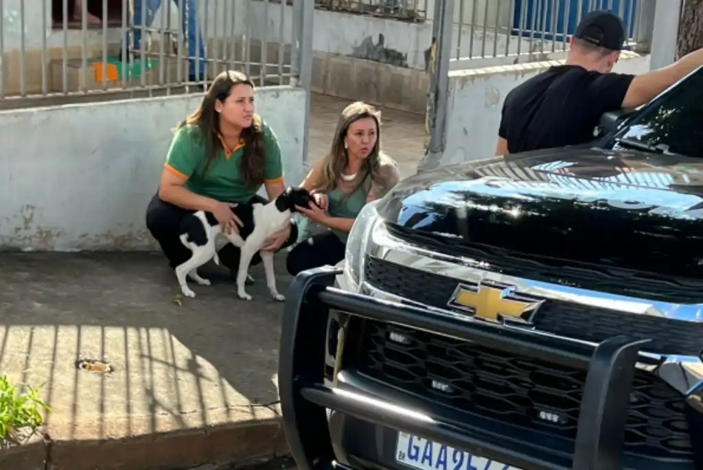 Foto: Divulgação