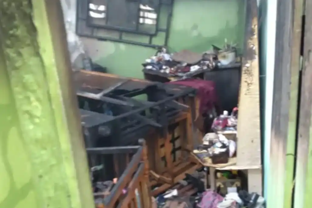 Foto: Reprodução/Garça em Foco