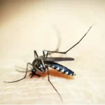 Tupã registra quinta morte por chikungunya em 2025