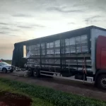 Apreensão de cigarros contrabandeados em Santa Cruz do Rio Pardo soma R$ 2 milhões