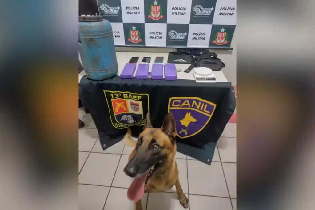 Foto: Divulgação/Polícia Militar