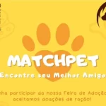 Feira de Adoção MatchPet acontece neste domingo em Marília durante o Domingo da Família