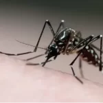 Marília registra mais três mortes por dengue e total chega a 20 em 2025