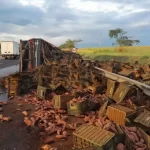 Carreta tomba com 30 toneladas de batata-doce e interdita rodovia em Marília