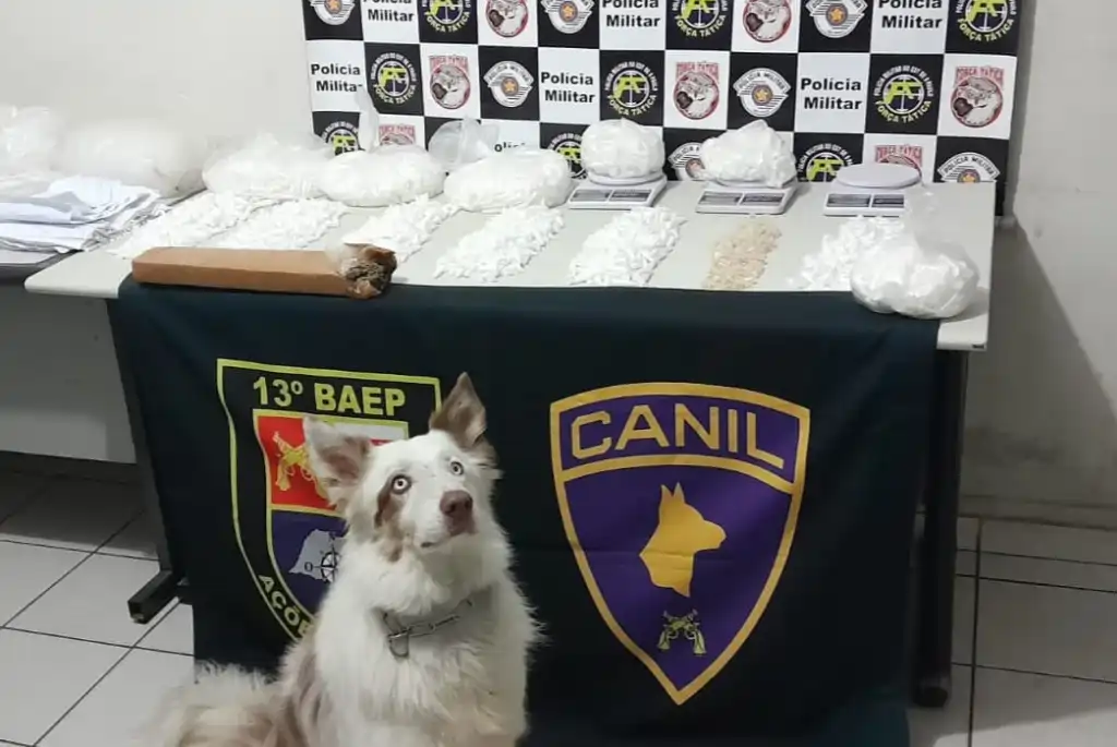 Foto: Divulgação/Polícia Militar