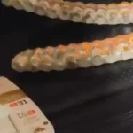 PRF flagra transporte ilegal de tirzepatida escondida em carro na BR-153