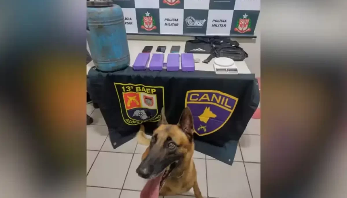 Foto: Divulgação/Polícia Militar
