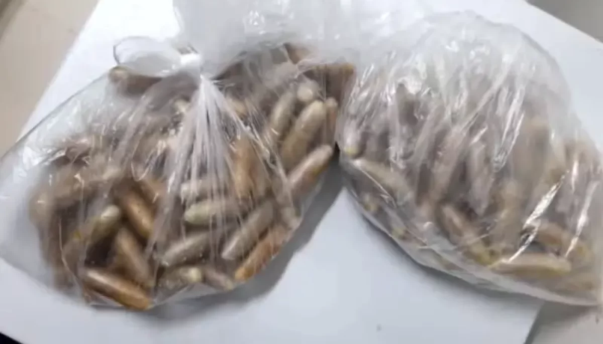 Foto: Divulgação/Polícia Militar Rodoviária