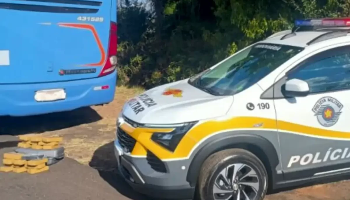 Foto: Divulgação/Polícia Militar Rodoviária