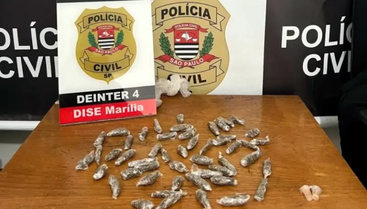 Foto: Divulgação/Polícia Civil