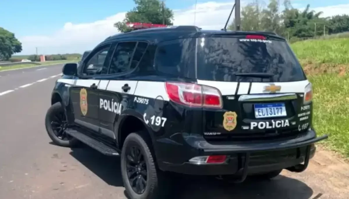 Foto: Divulgação/Polícia Civil